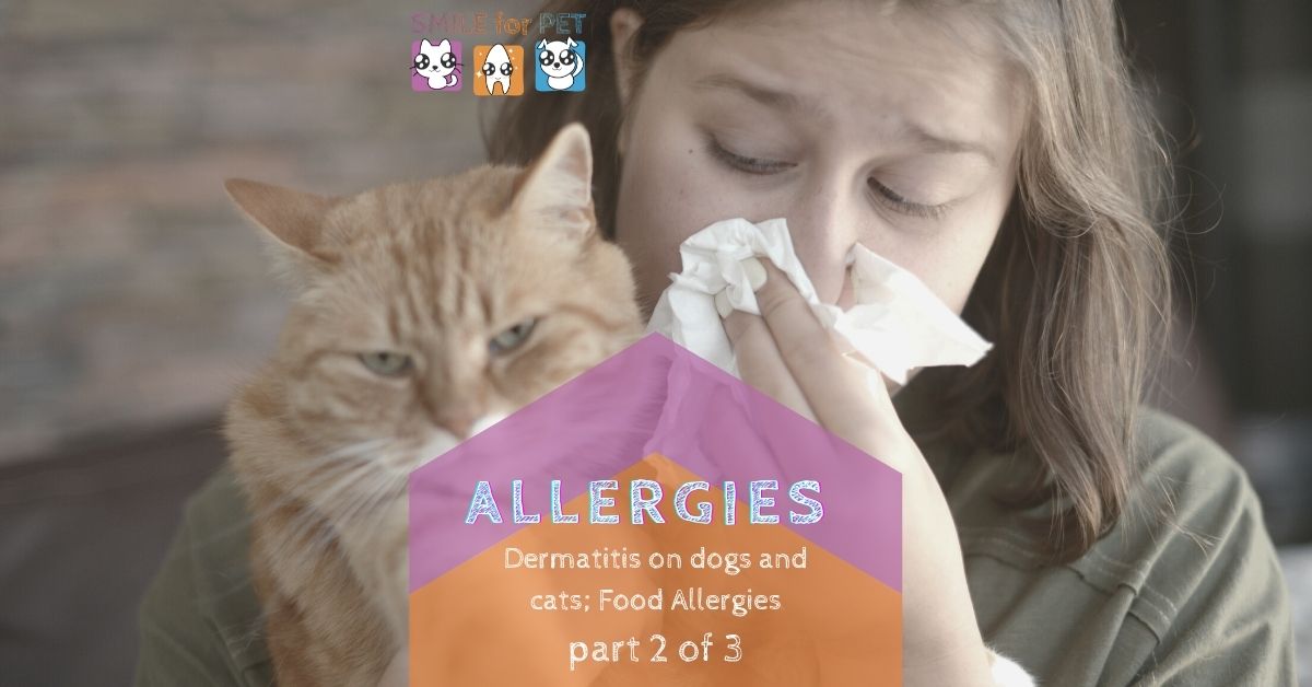 Dermatitis on dogs and cats; Food Allergies