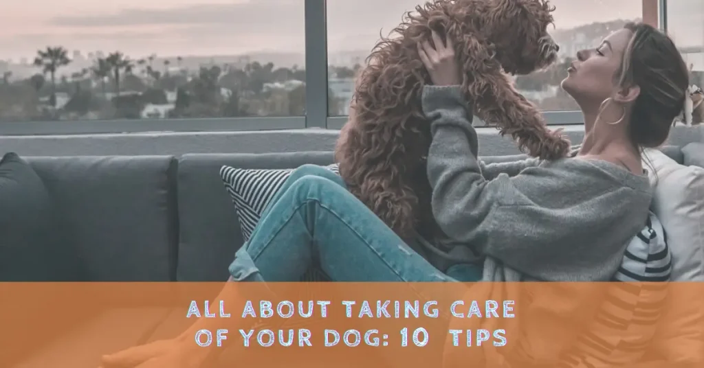All about taking care of your dog 10 basic tips