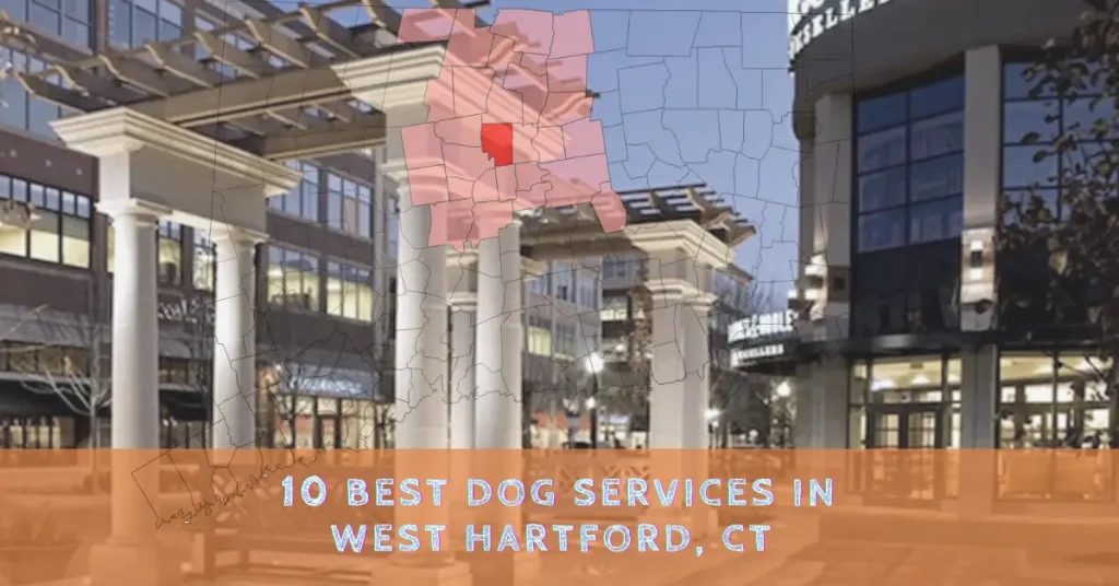 10 Best Dog Services In West Hartford, CT