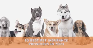 10 best Pet Insurance providers in 2023